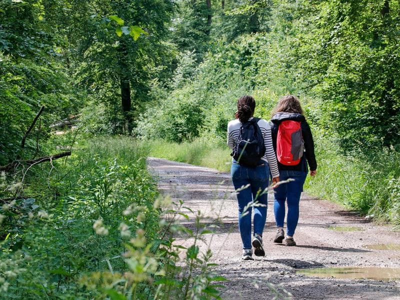 Illustration de l'événement : Les Rendez-vous Nature - Découverte de la forêt de Zetting