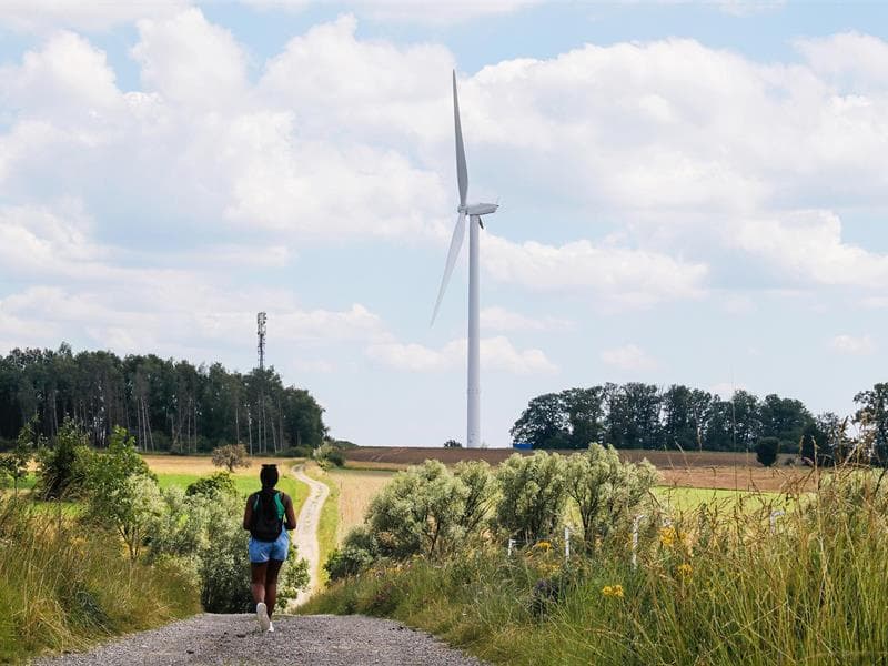 Illustration de l'événement : Les Rendez-vous Nature - Au pied des Éoliennes