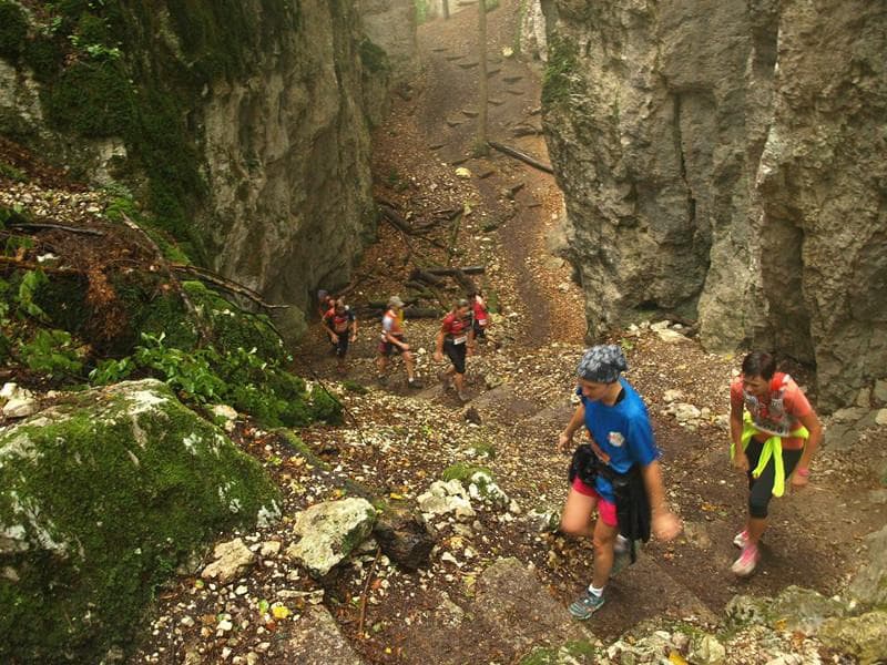 Illustration de l'événement : Les Courses du Jura Alsacien à Ferrette