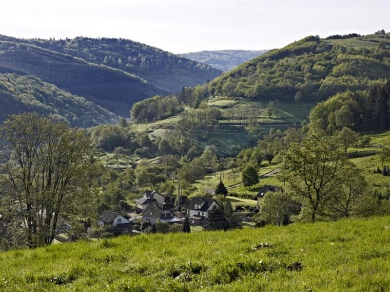 Illustration de l'événement : Sentiers Plaisir : Le vallon de Barembach et la côte des Vignes