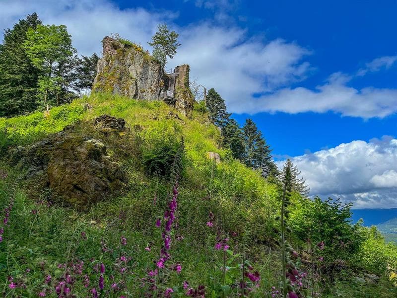 Illustration de l'événement : Sentiers Plaisir : Le château de la Roche