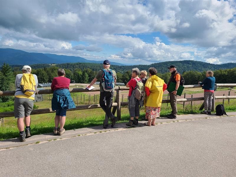 Illustration de l'événement : Sentiers Plaisir : Le camp de concentration de Natzweiler et l'Alsace