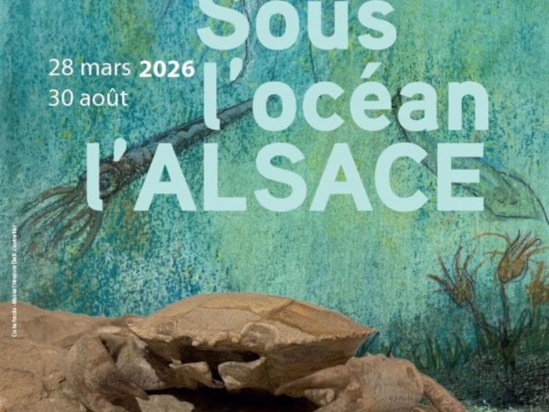 Illustration de l'événement : Visite guidée de l'exposition "Sous l'océan, l'Alsace"