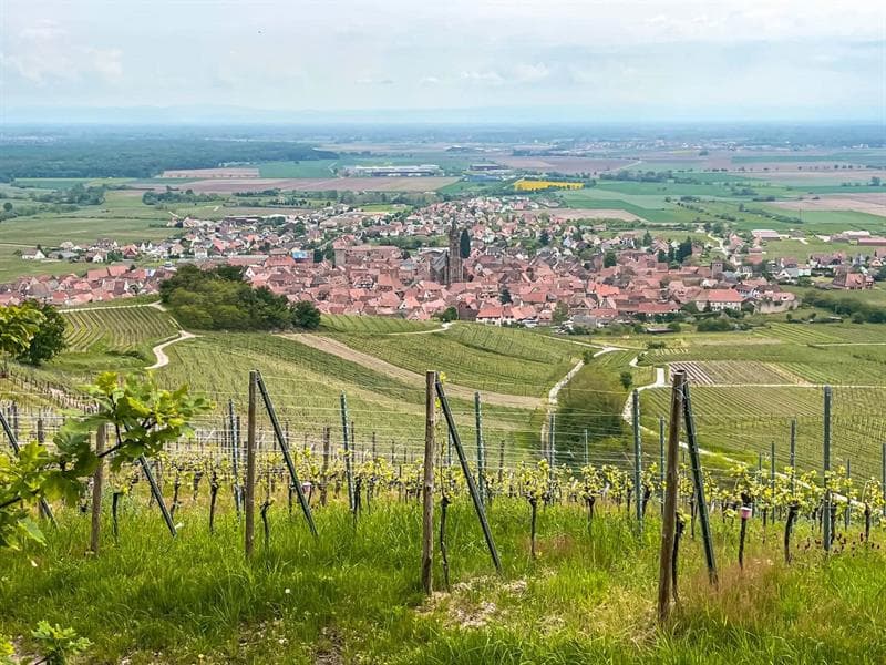 Illustration de l'événement : ALSACE ROCKS ! La Tournée des Terroirs - Etape #7
