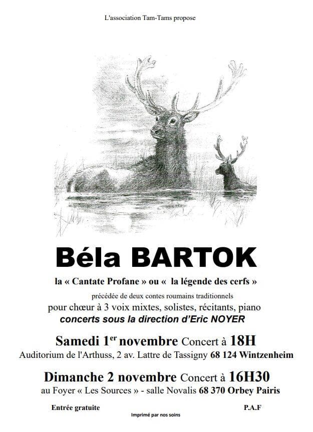 Illustration de l'événement : Concert - Béla Bartok