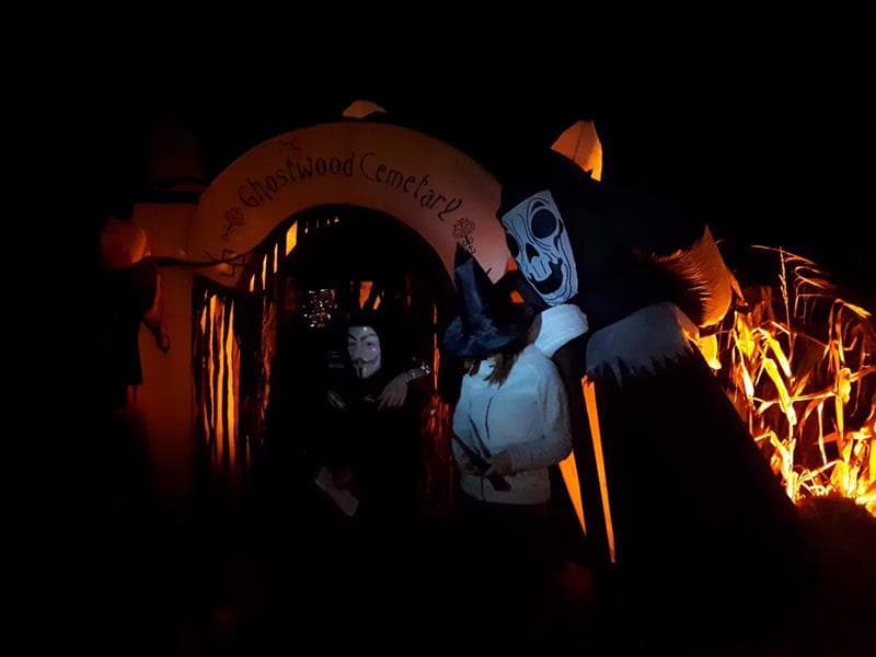 Illustration de l'événement : Labyrinthe nocturne spécial Halloween