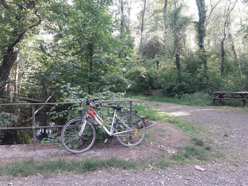 Illustration de l'événement : Balade à vélo entre Ried et Rhin