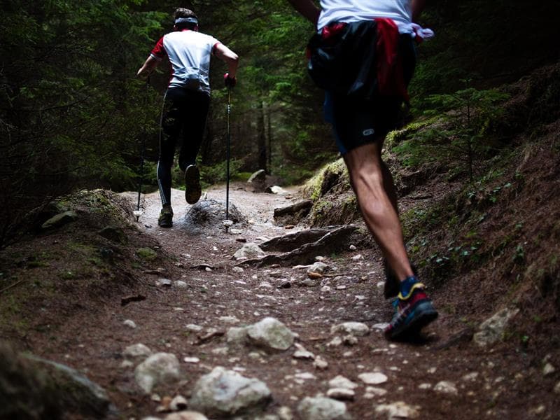 Illustration de l'événement : Trail les montées du Daubenschlag