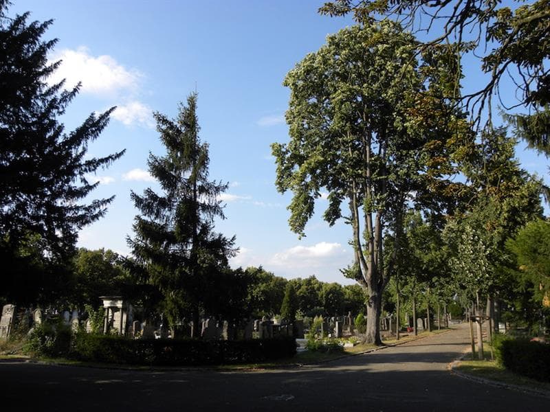 Illustration de l'événement : Visite guidée : le cimetière, entre art et histoire