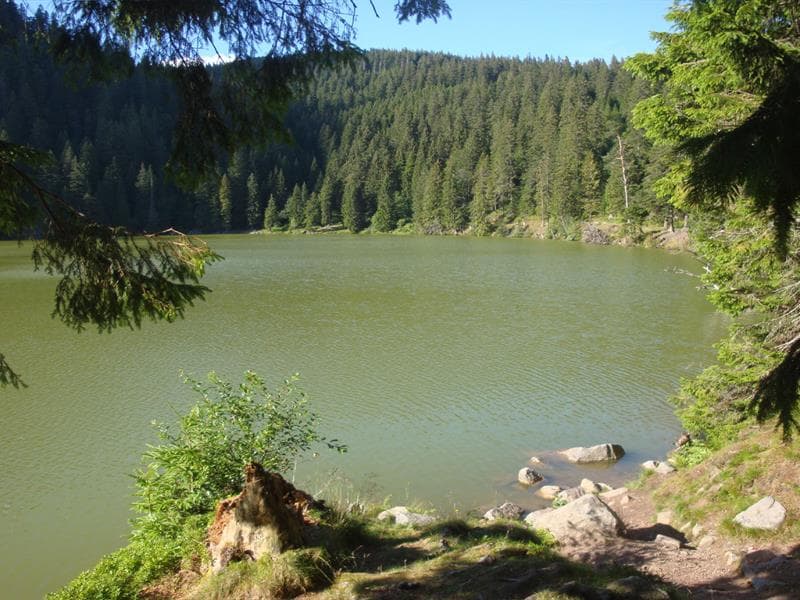 Illustration de l'événement : Club Vosgien : Tanet - Lac Vert