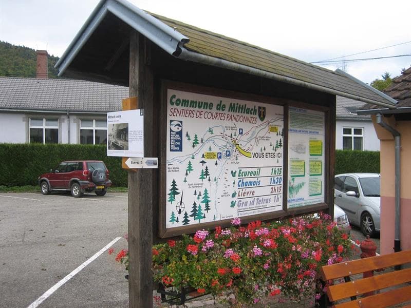 Illustration de l'événement : Club Vosgien : Le sentier du lièvre à Mittlach