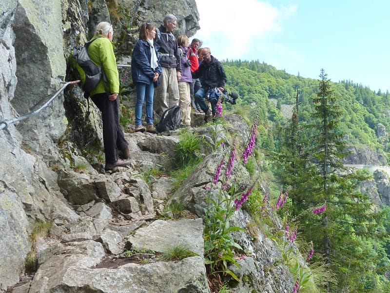 Illustration de l'événement : Club vosgien: Falimont - Sentier des Roches