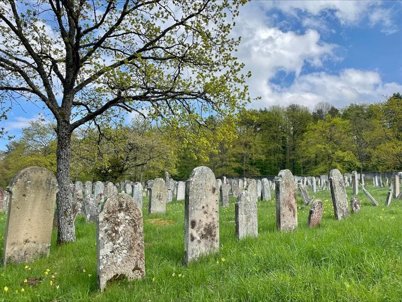 Illustration de l'événement : Visite guidée du cimetière israélite