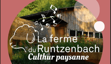 Illustration de l'événement : Concert à la ferme du Runtzenbach : Jamie McLean