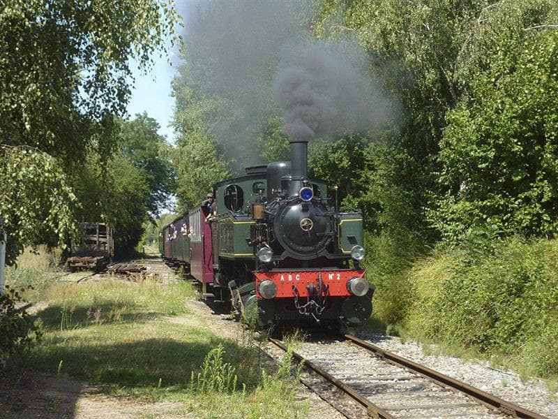 Illustration de l'événement : Activité : le Train Thur Doller Alsace