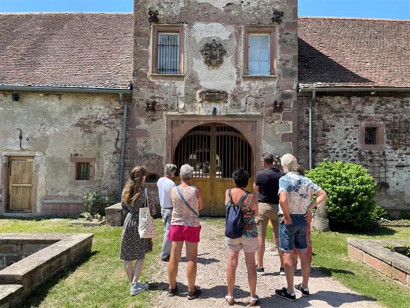 Illustration de l'événement : Visite guidée historique du château de Thanvillé
