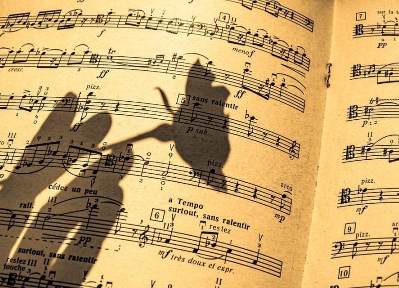 Illustration de l'événement : Veillée de chant participatif "Offenes Singen"