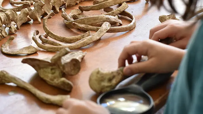 Illustration de l'événement : Journées européennes de l’archéologie