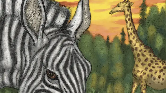 Illustration de l'événement : Journée découverte de l'Afrique