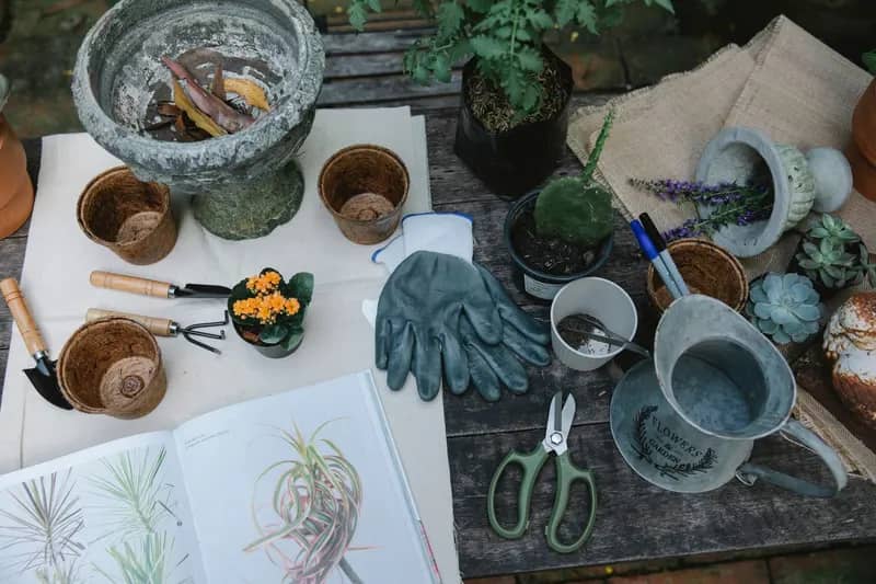 Illustration de l'événement : 13ème Fête des Jardiniers