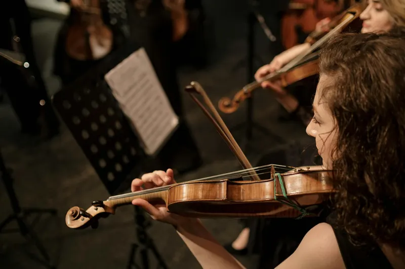 Illustration de l'événement : Concert symphonique / Festival Berlioz
