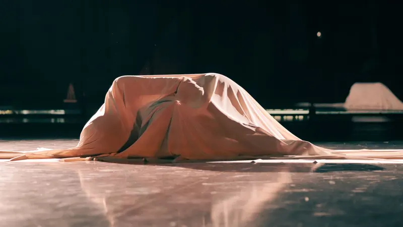 Illustration de l'événement : Danse à la Maison de la Culture : P.I.E.D. # FORMATDEPOCHE
