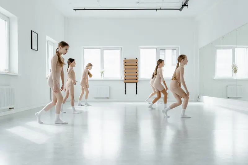 Illustration de l'événement : Stage danse traditionnelle