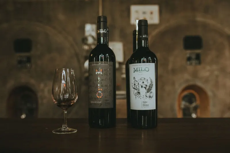 Illustration de l'événement : Cave ouverte au Domaine Aurélie Berthod