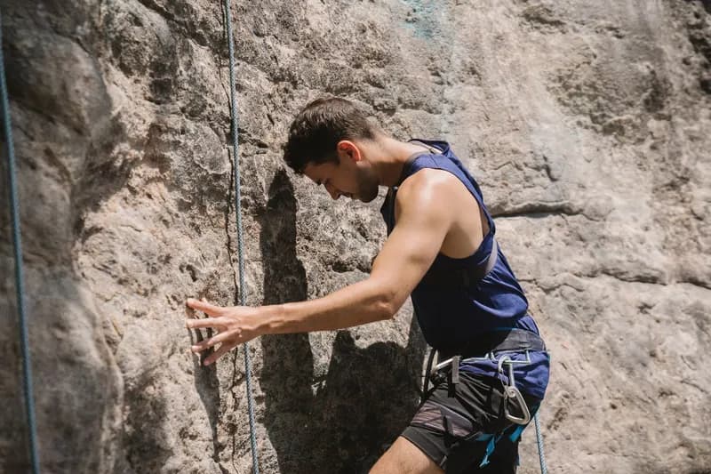 Illustration de l'événement : Randonnée équestre : Forêt Domaniale du Trait Maulévrier