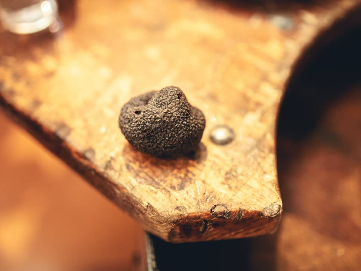 Illustration de l'événement : MARCHÉ AUX TRUFFES & PRODUITS DE L'AUDE