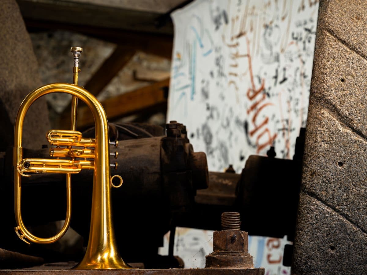 Illustration de l'événement : LA TOURNÉE INSOLITE - VISITES GUIDÉES MUSICALES