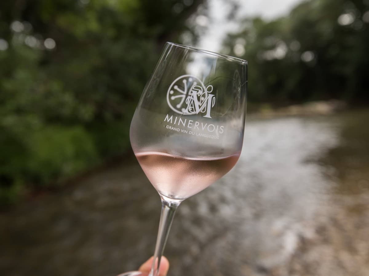 Illustration de l'événement : ENTRE VERRES ET VIGNES