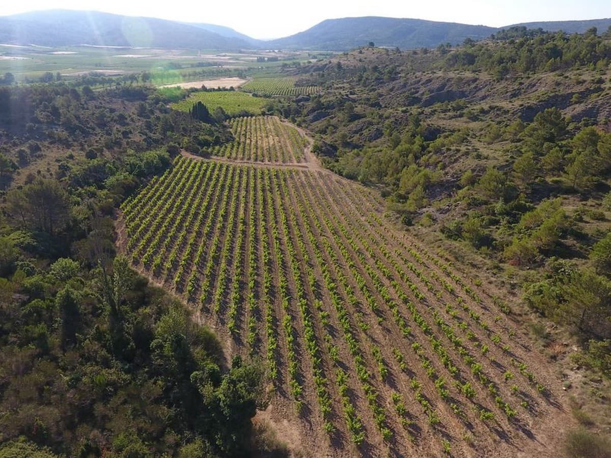Illustration de l'événement : DOMAINE VINÉA ADRIAN - DE FERME EN FERME EN VAL DE DAGNE