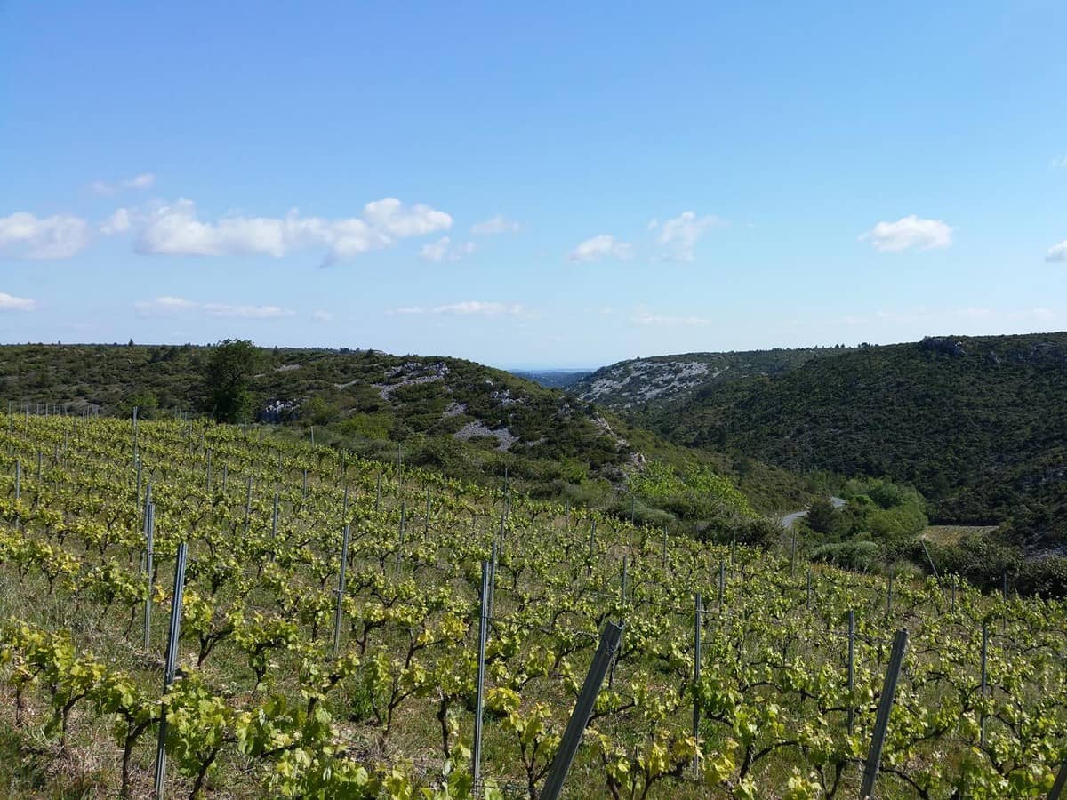 Illustration de l'événement : DE FERME EN FERME - NARBONNAIS, CORBIERES-MINERVOIS