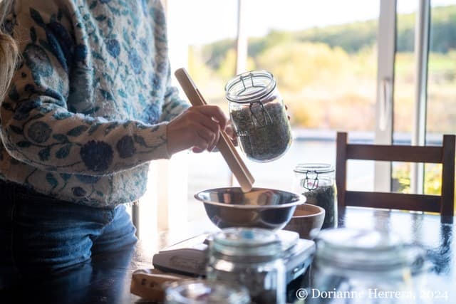 Illustration de l'événement : ATELIER D'INITIATION À L'HERBORISTERIE ET À LA CUISINE SAUVAGE