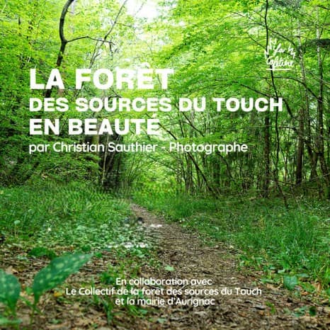 Illustration de l'événement : EXPOSITION - LA FORÊT DES SOURCES DU TOUCH EN BEAUTÉ