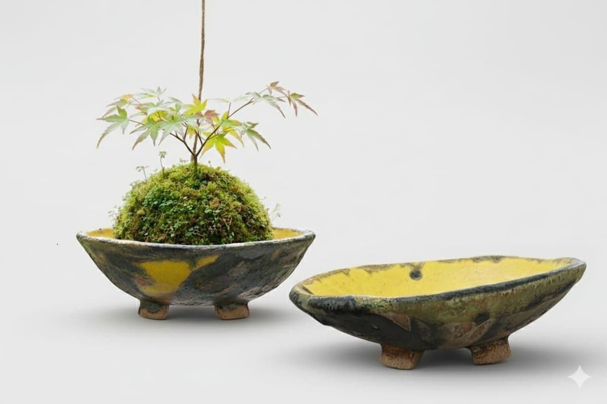 Illustration de l'événement : KOKEDAMA ET SON ÉCRIN EN CÉRAMIQUE