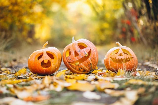 Illustration de l'événement : HALLOWEEN.