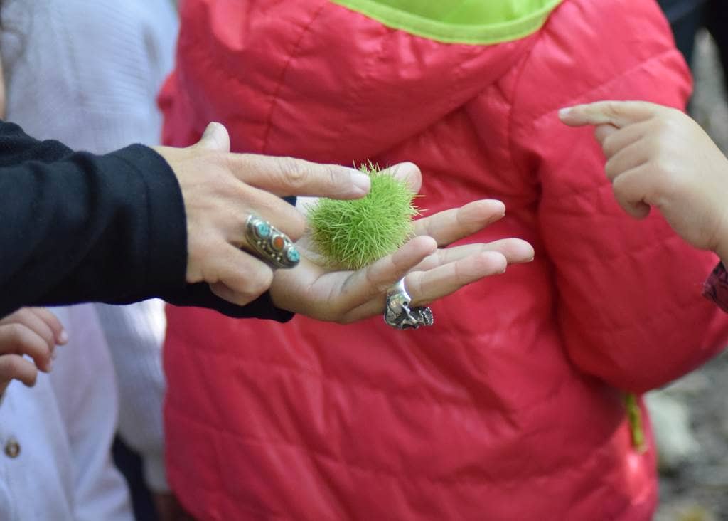 Illustration de l'événement : La magie des plantes : se préparer à l'hiver en douceur
