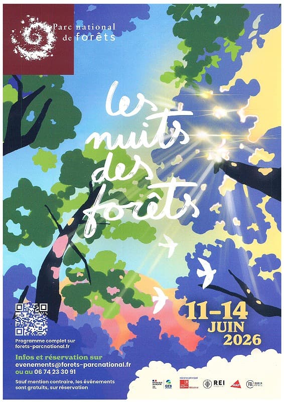Illustration de l'événement : Les Nuits des Forêts - Chemin sonnants