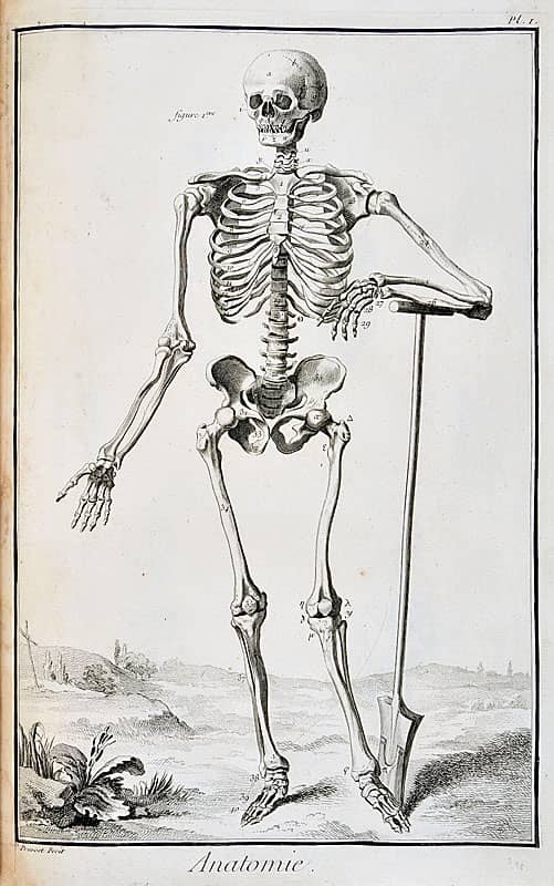 Illustration de l'événement : ARPL 2026 - Visite guidée des planches Anatomie de l'Encyclopédie