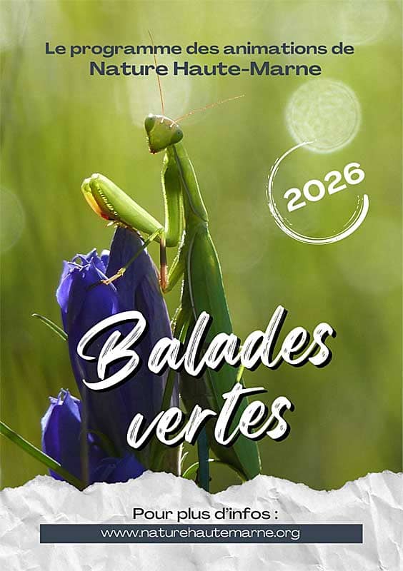 Illustration de l'événement : Balades Vertes en Haute-Marne : Une vie de Cincle !