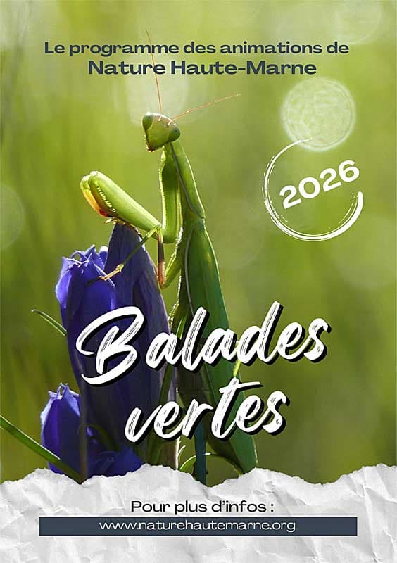 Illustration de l'événement : Balades Vertes en Haute-Marne : Orchidées, vigne et permaculture