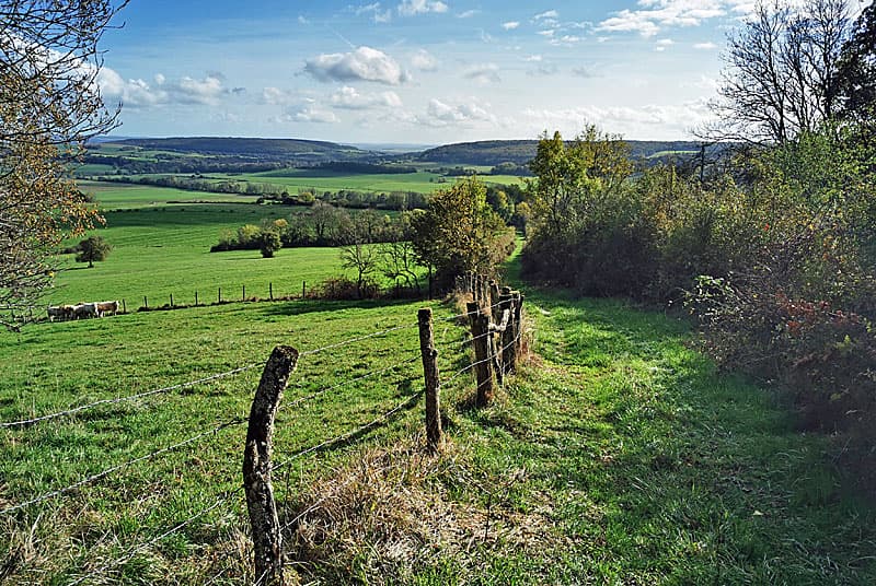 Illustration de l'événement : Visite thématique au Val d'Esnoms : Balade-conférence, lecture du paysage du Val-d’Esnoms et du plateau de Langres