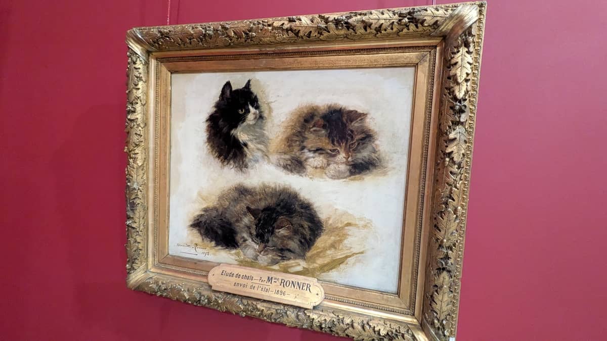 Illustration de l'événement : Exposition à Laon : "Chat, chat, chats !"