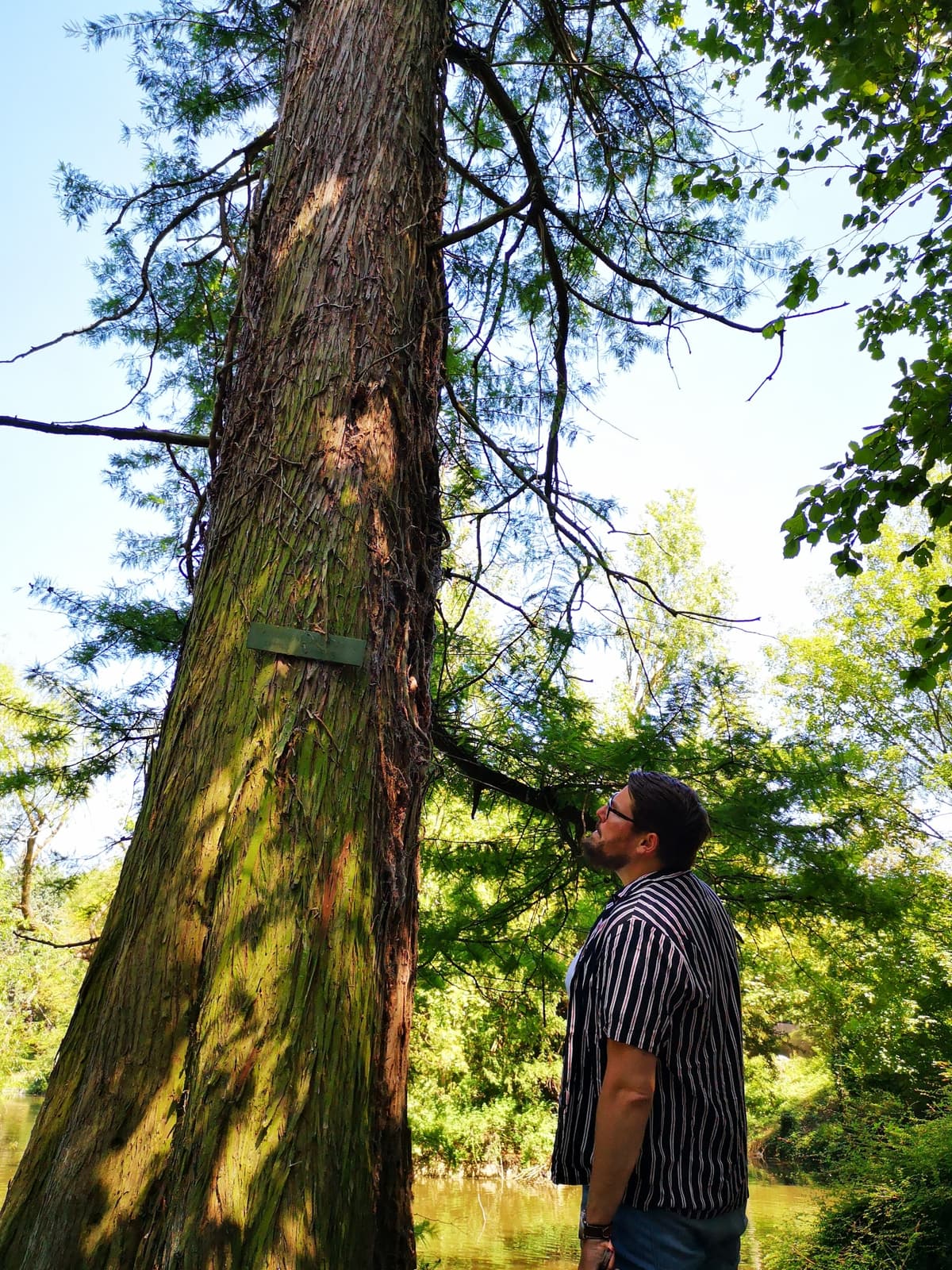 Illustration de l'événement : Sophr'arbre au parc Fenain