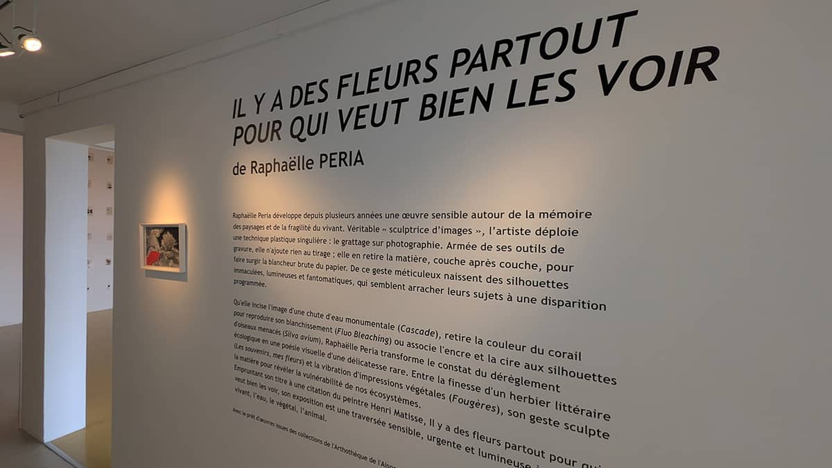 Illustration de l'événement : Exposition à Laon : "Il y a des fleurs partout pour qui veut bien les voir"