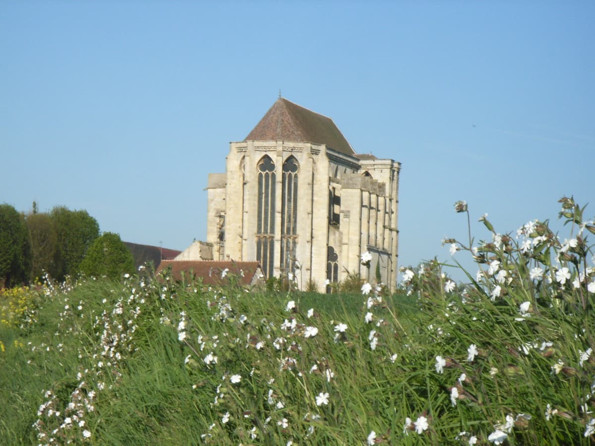 Illustration de l'événement : Résonances Musicales dans l'Abbaye de Saint Martin aux Bois