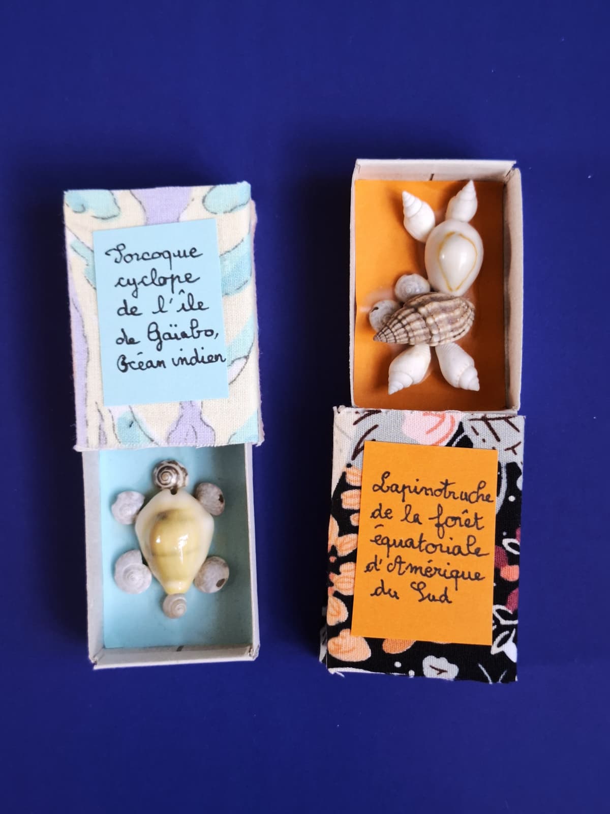 Illustration de l'événement : JEU(X)DIS D’ÉTÉ | Atelier créatif "Chimère coquillage"