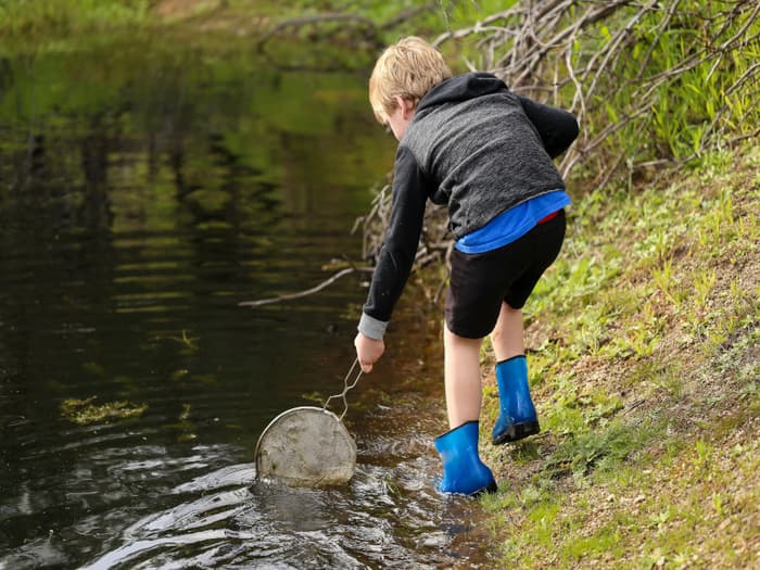 Illustration de l'événement : Découverte des petites bêtes de l’eau au parc des tanneries